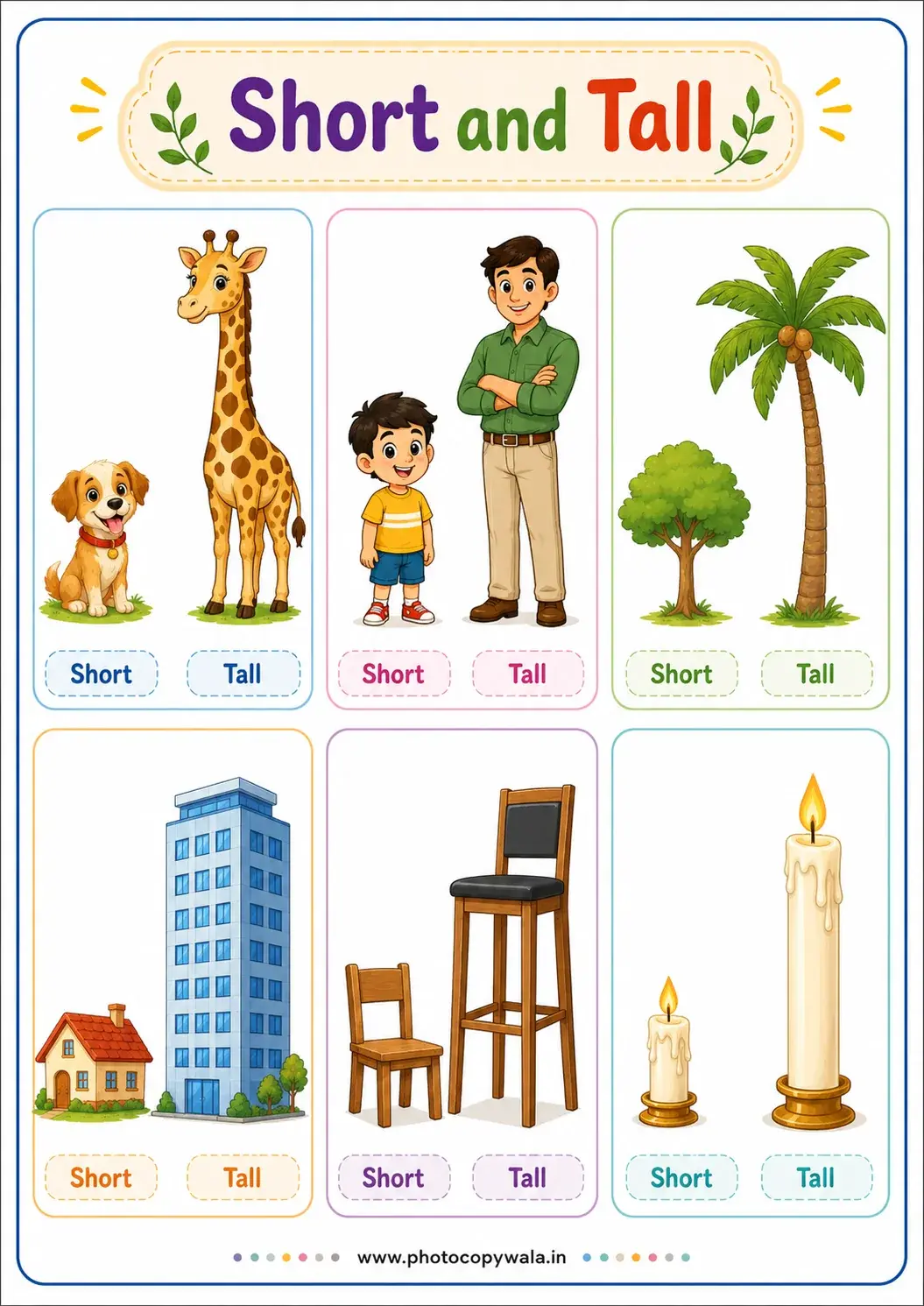 Short and Tall Worksheet for Kids PDF preview
