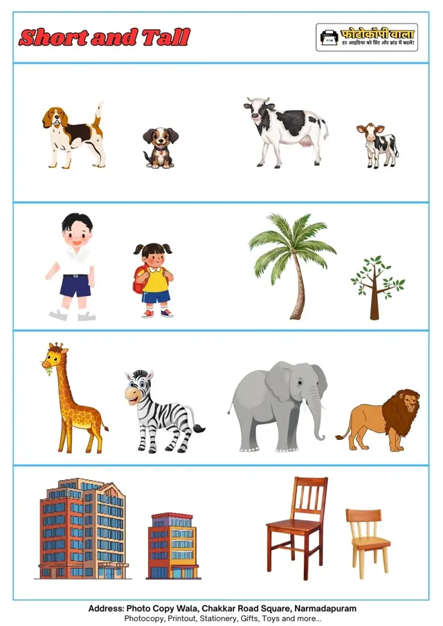 Tall and Short Worksheet / Chart preview - Babai Road Narmadapuram
